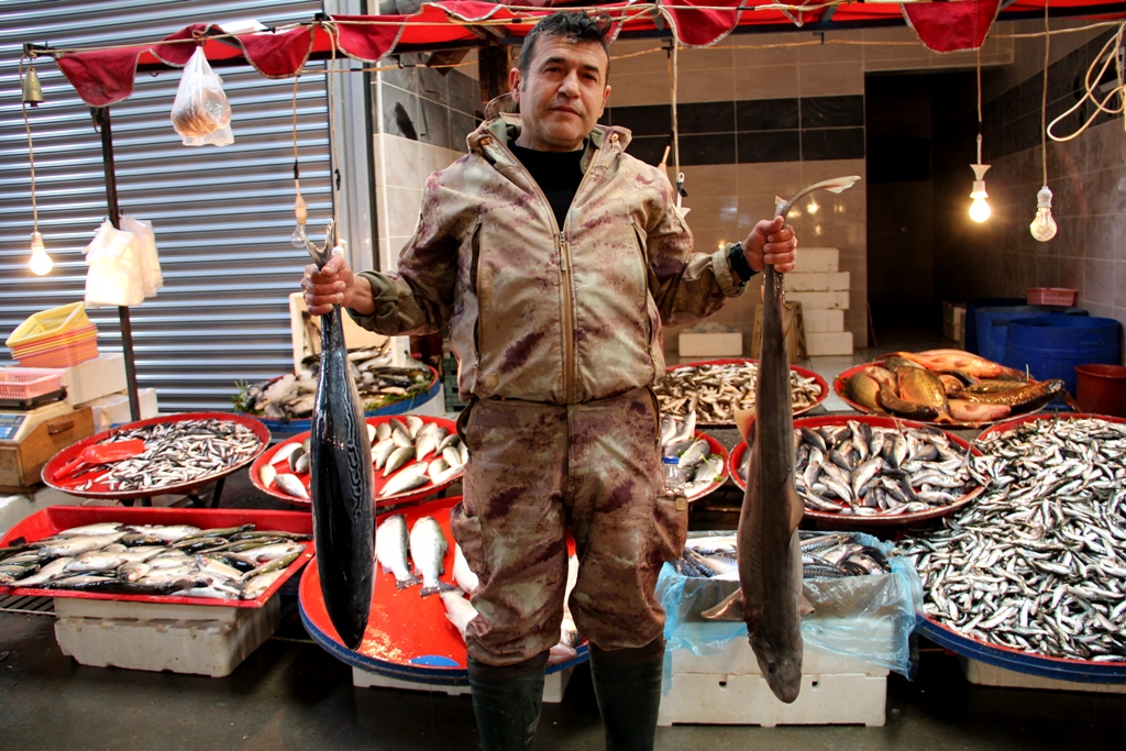 Köpek balığı Seydişehir halk pazarında