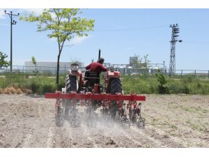 KONYA ŞEKER, PANCAR TABAN FİYATINDA ARTIŞA GİTT