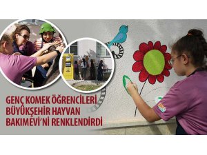 Genç KOMEK Öğrencileri Büyükşehir Hayvan Bakımevi’ni Renklendirdi